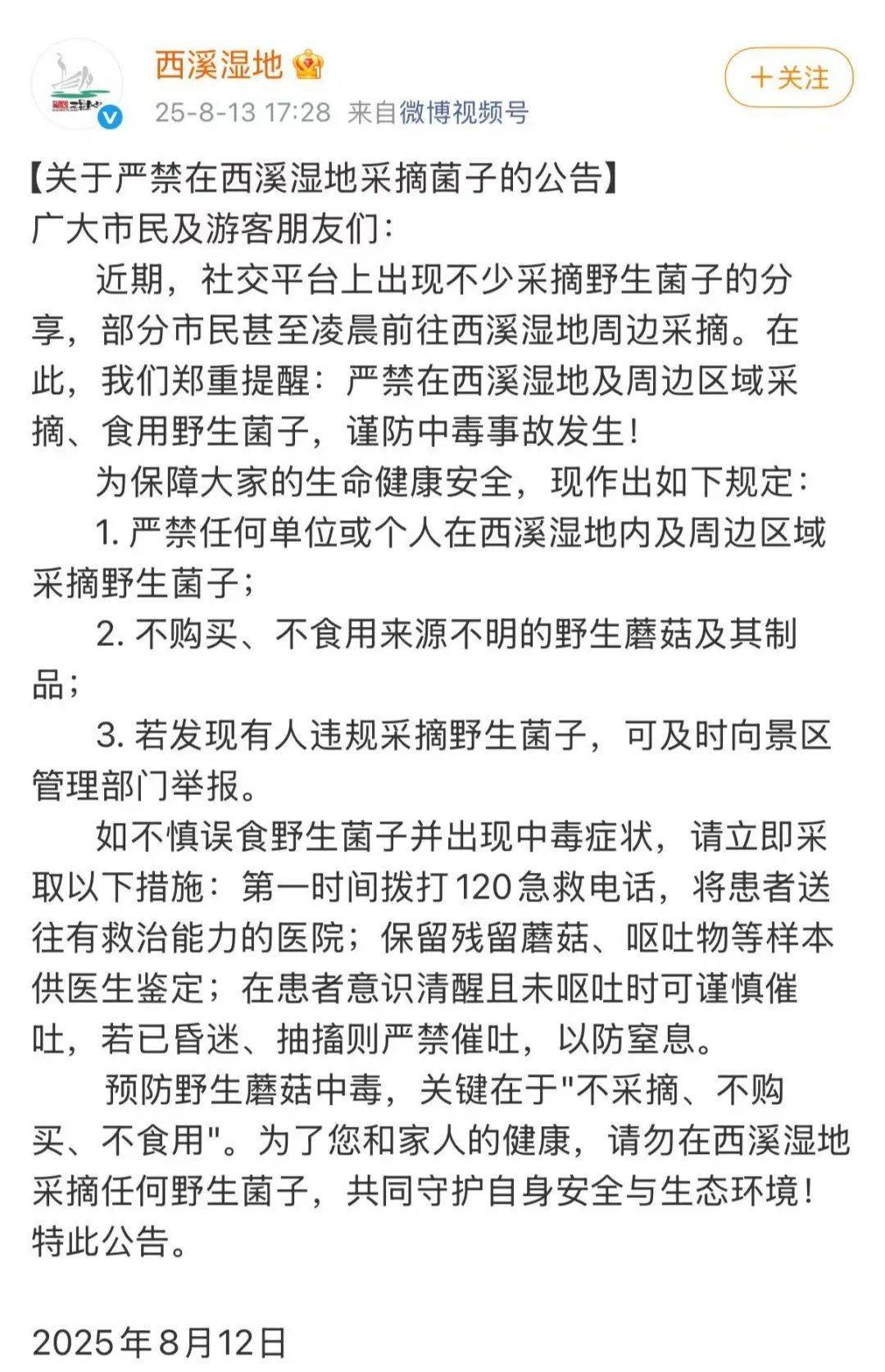 杭州这里一批批人涌入！多平台公告：严禁开元棋牌app蘑菇捡不完根本捡不完！(图2)