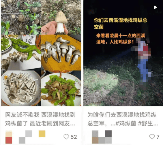 杭州这里一批批人涌入！多平台公告：严禁开元棋牌app蘑菇捡不完根本捡不完！