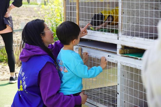 二十年看见星星的光芒开元棋牌新民特稿｜(图7)